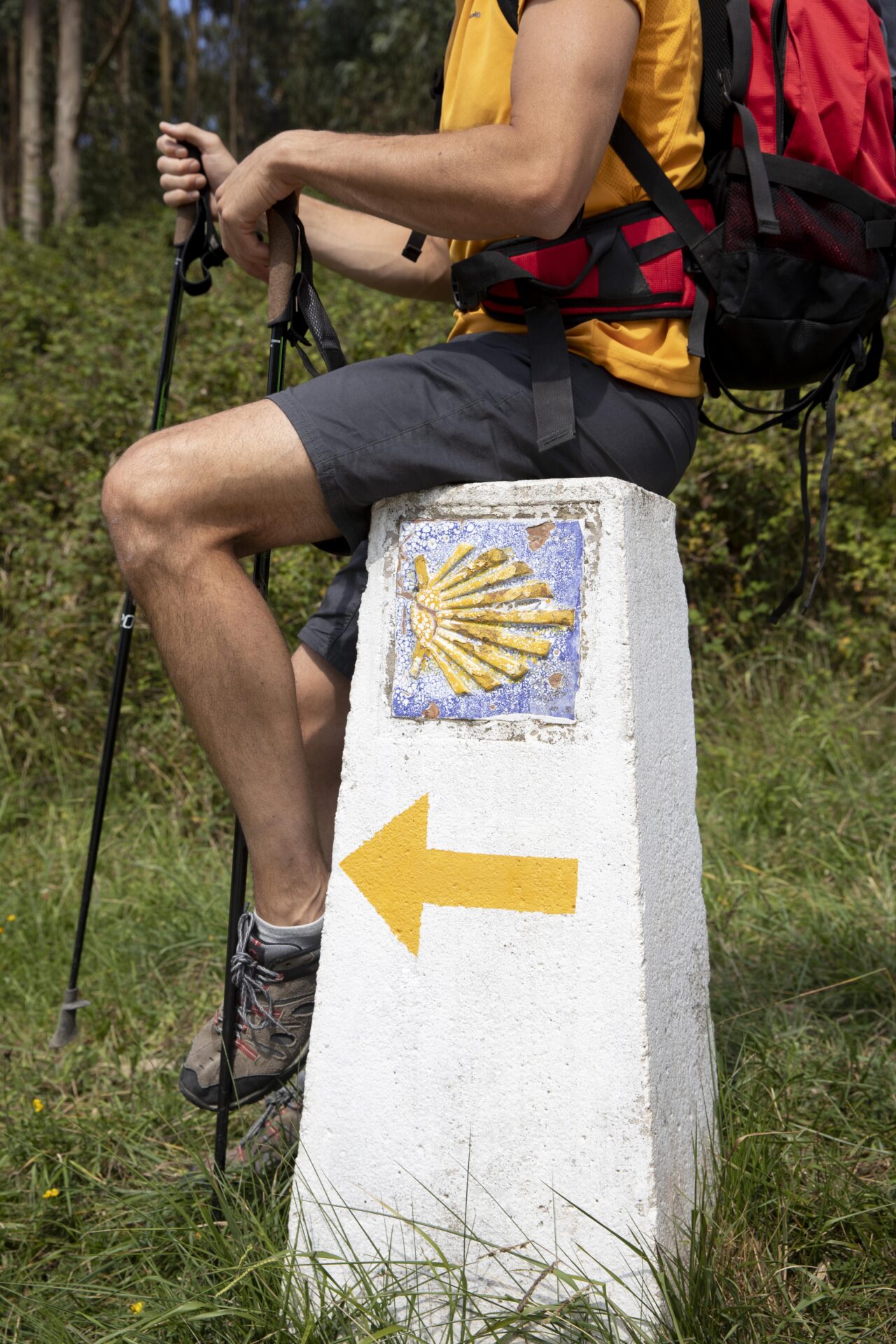 Viajeros del camino de santiago